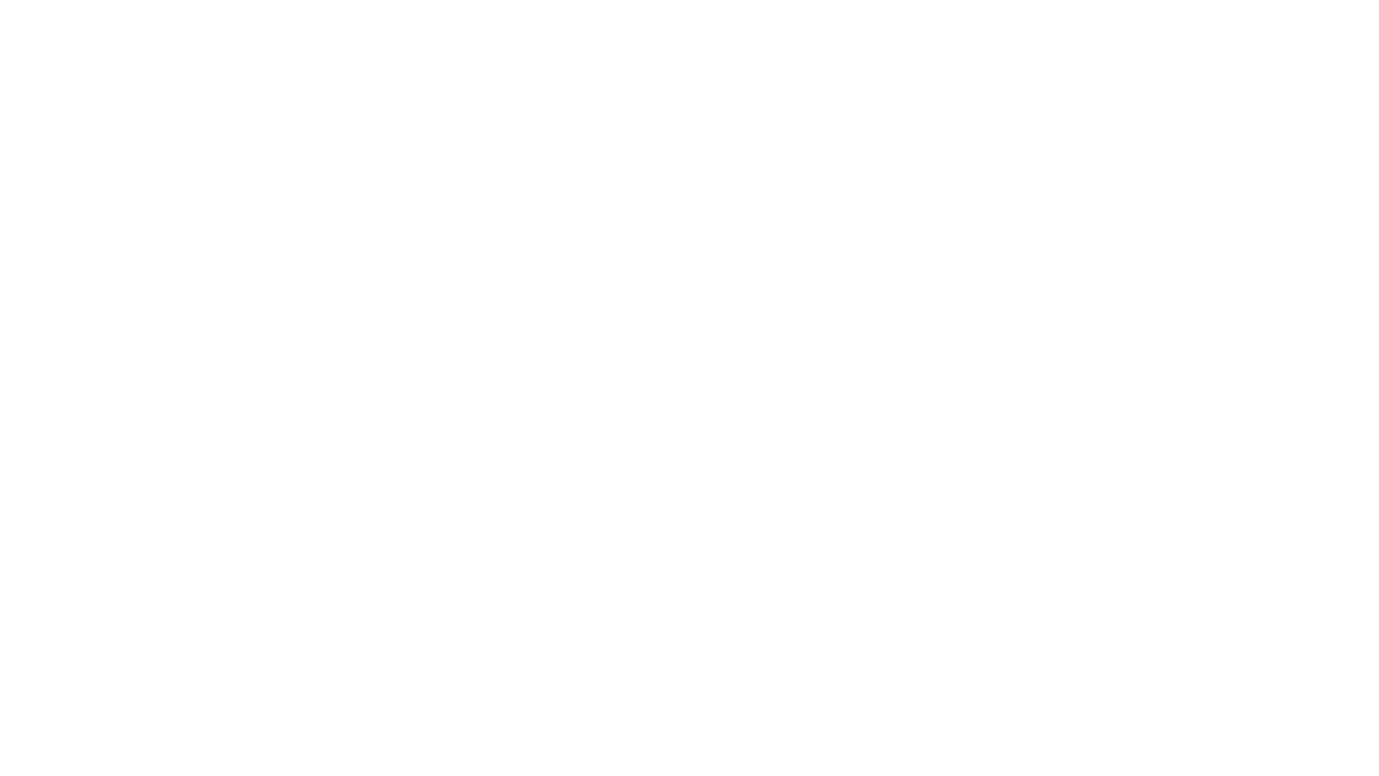 logo paddan